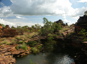 Small pool, unknown valley