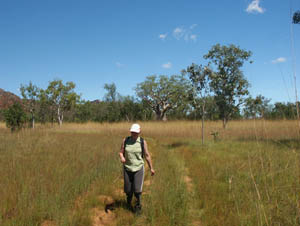 Still walking into the Unnamed Gorge