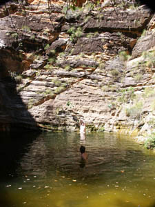 The pool