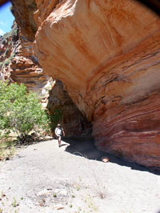 Rock shelter