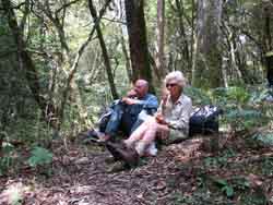 Lunch in the forest