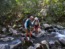 Crossing a creek