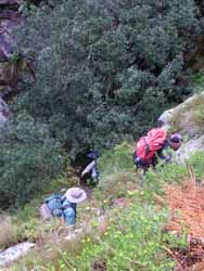 Still further down the mountain