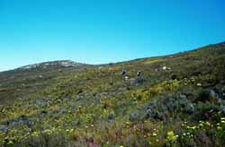Nearing the end of the trail