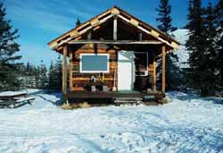 Men's cabin