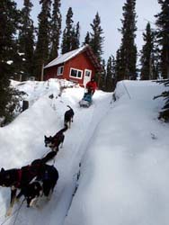 Down the hill from Coughlan cabin