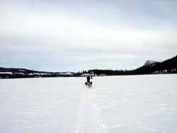 Looking back toward Coughlan cabin