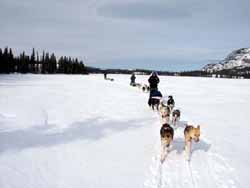 Crossing Coughlan Lake