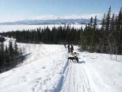 Downhill toward the lake