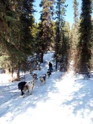 Another sled comes down the hill