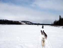 On the lake