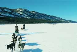 On Lake Laberge