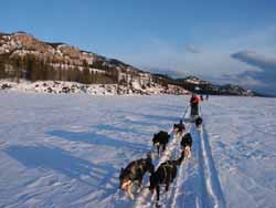 The last run home