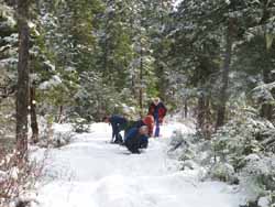 Putting on the snowshoes
