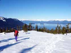 Ravens Roost Trail view