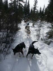 Stopped and anchored sled