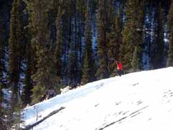Pushing up the hill