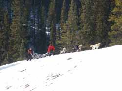 Pushing another sled up the hill
