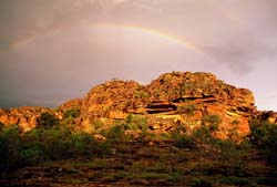 Baroalba rainbow, R Willis 