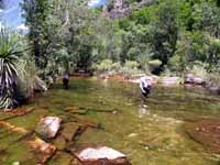 Wading upstream, photo R Willis.