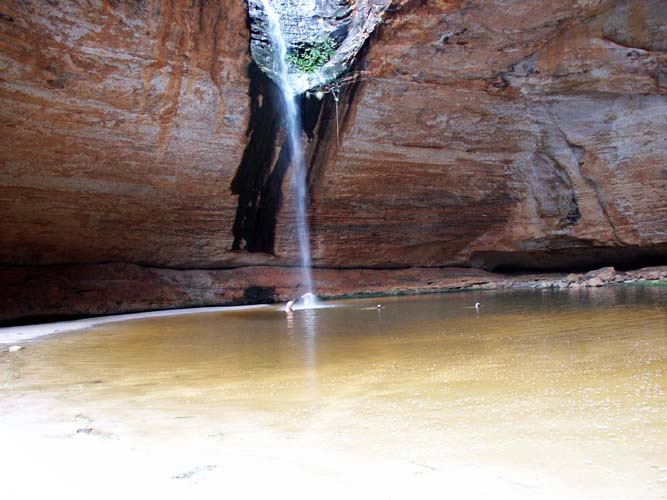 Cathedral shower
