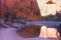 Walking past a rock pool in Piccaninny Gorge