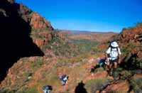 Climbing up along Seven Falls Creek