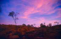 Sunset view