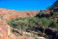 View over lower Packsaddle Gorge