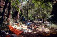 Resting in one of the southern gorges