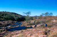 Walking along another northern creek