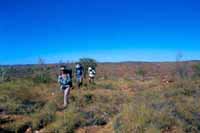 Walking across a spinifex flat