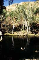 Swimming in an open gorge