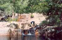 Small falls on Dinner Creek