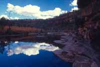 Johnson Creek above Petrogale Falls
