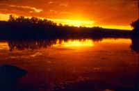 Drysdale sunset