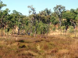 Walking up the grassy valley
