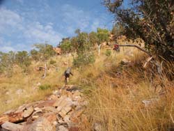 Climbing out of the Nyia Valley