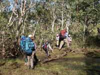 Crossing a creek