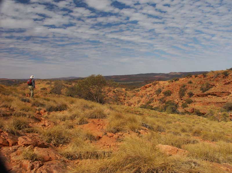 Looking toward the end of Circular Gully