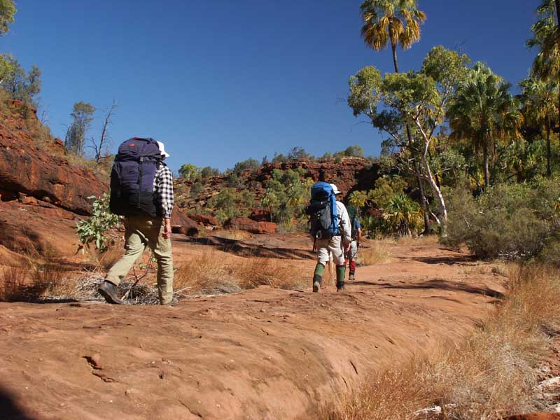 Walking through Palm Valley