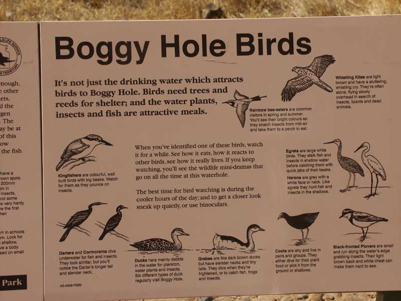 Boggy Hole Birds