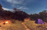 Moonlit campsite near Circular Gorge