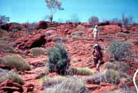 Walking near Palm Valley