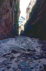 Downstream end of Freezing Gorge, August