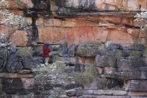 Photographing a painting