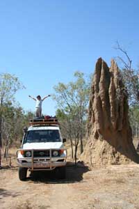 Termite mound with vehicle