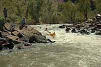 In the rapids, 1999