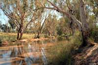 1999 view of our 2003 campsite.