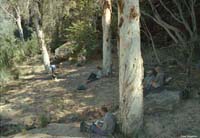 Rest stop, Upper Isdell, 1999